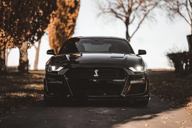 Kasyno Golden Palace Aplikacja Android/iOS